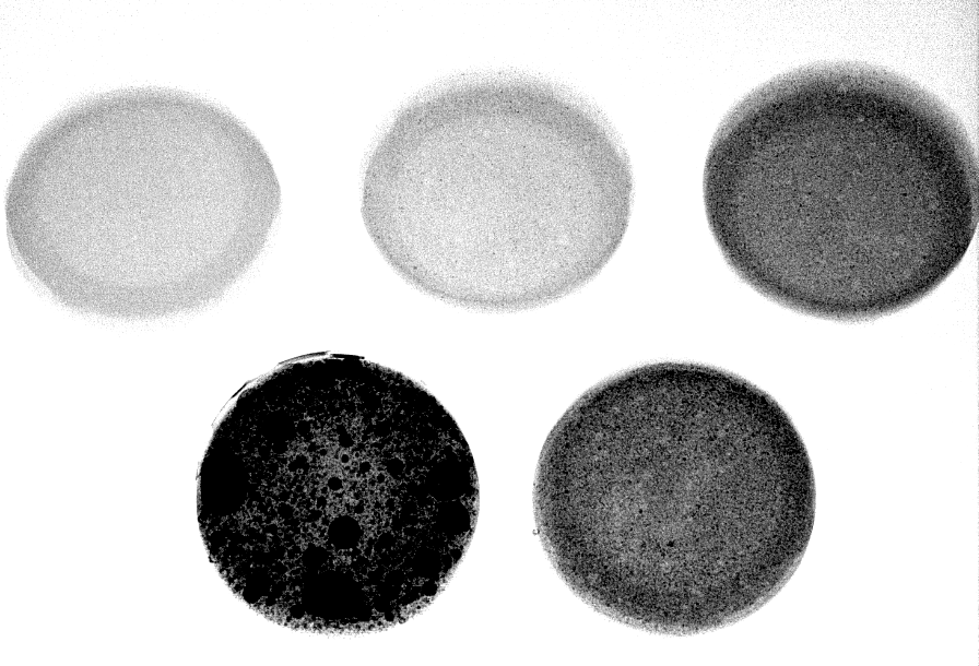 various concentrations of Barium sulfate inside silicone samples